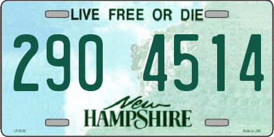 NH license plate 2904514