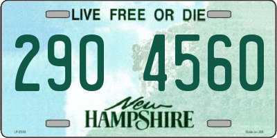 NH license plate 2904560