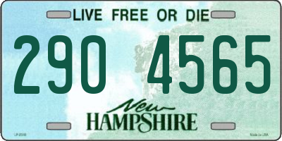 NH license plate 2904565