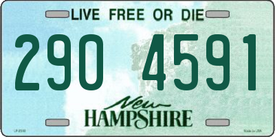 NH license plate 2904591