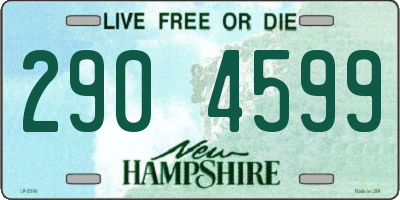 NH license plate 2904599