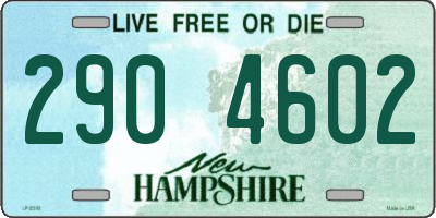 NH license plate 2904602