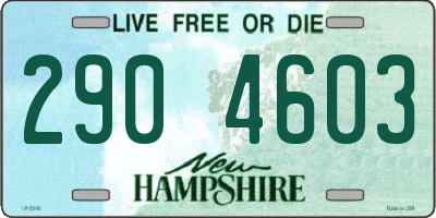 NH license plate 2904603