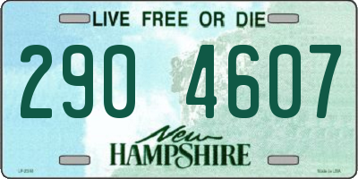 NH license plate 2904607