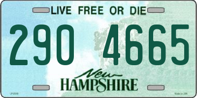 NH license plate 2904665