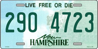 NH license plate 2904723