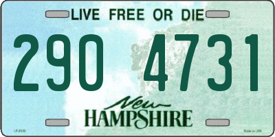 NH license plate 2904731