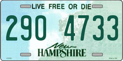 NH license plate 2904733