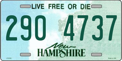 NH license plate 2904737