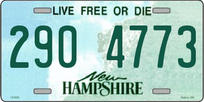 NH license plate 2904773