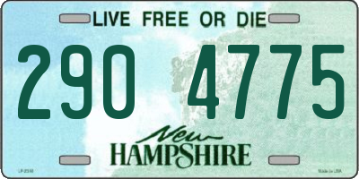 NH license plate 2904775