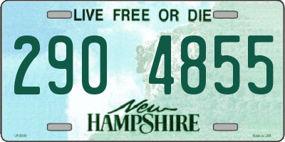 NH license plate 2904855