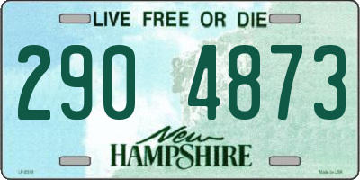 NH license plate 2904873