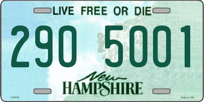 NH license plate 2905001