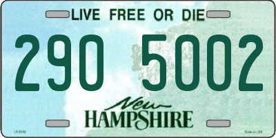 NH license plate 2905002