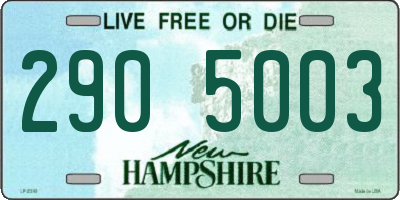 NH license plate 2905003
