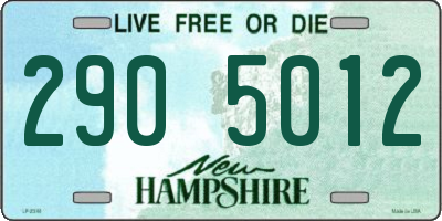 NH license plate 2905012