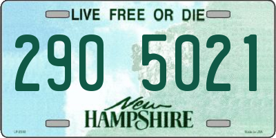 NH license plate 2905021