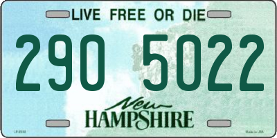 NH license plate 2905022