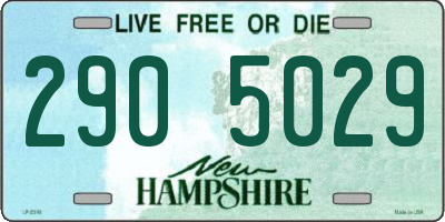 NH license plate 2905029