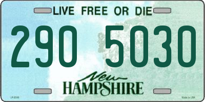 NH license plate 2905030