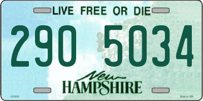 NH license plate 2905034
