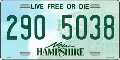 NH license plate 2905038