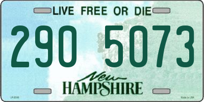NH license plate 2905073