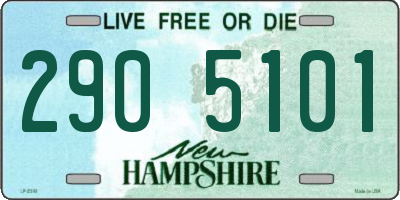 NH license plate 2905101