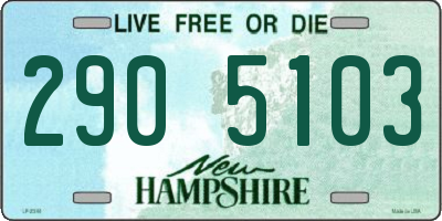 NH license plate 2905103
