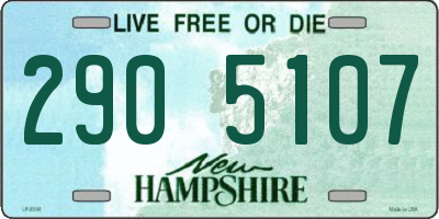 NH license plate 2905107