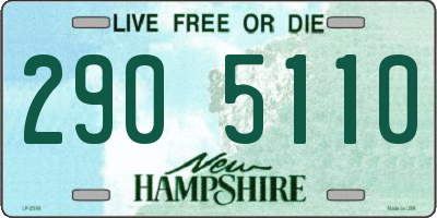NH license plate 2905110