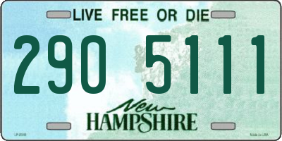 NH license plate 2905111