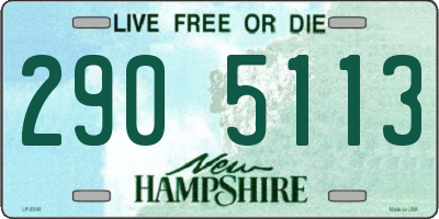 NH license plate 2905113