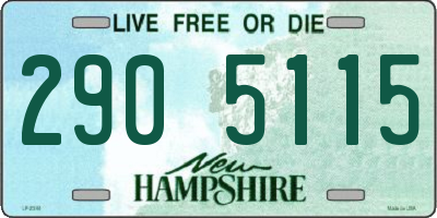 NH license plate 2905115