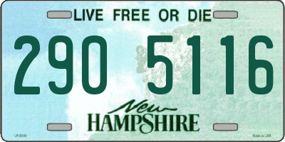 NH license plate 2905116