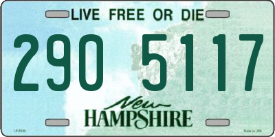 NH license plate 2905117