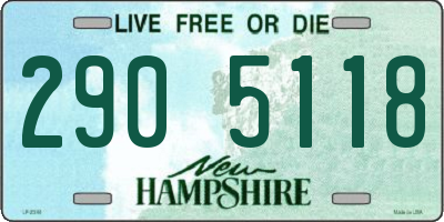 NH license plate 2905118