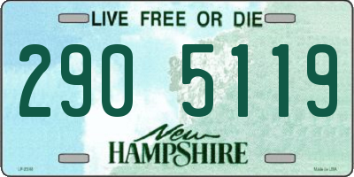 NH license plate 2905119