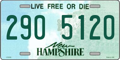 NH license plate 2905120