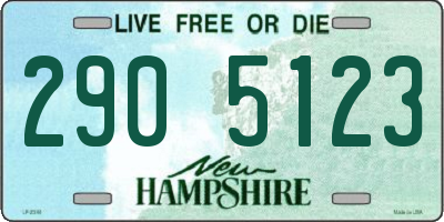 NH license plate 2905123