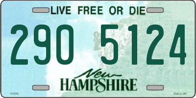 NH license plate 2905124