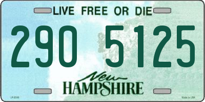 NH license plate 2905125