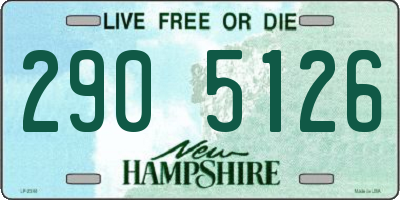 NH license plate 2905126