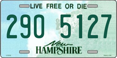 NH license plate 2905127