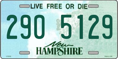 NH license plate 2905129