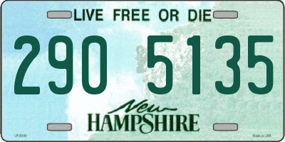NH license plate 2905135