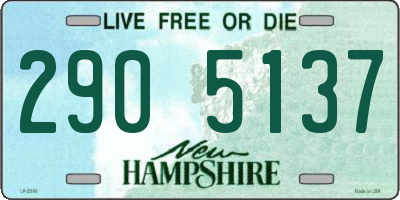 NH license plate 2905137