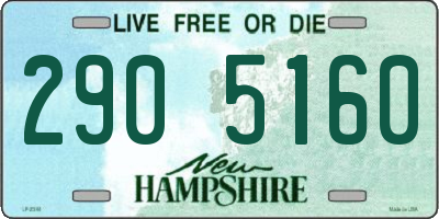 NH license plate 2905160