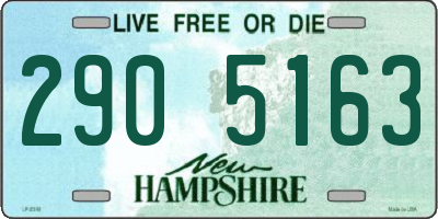 NH license plate 2905163